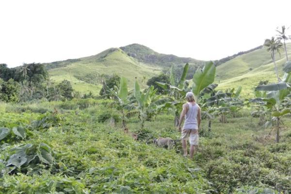 Bay Of Plenty Nature Lodge Nanuya Lailai 외부 사진