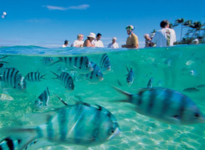 Bay Of Plenty Nature Lodge Nanuya Lailai 외부 사진